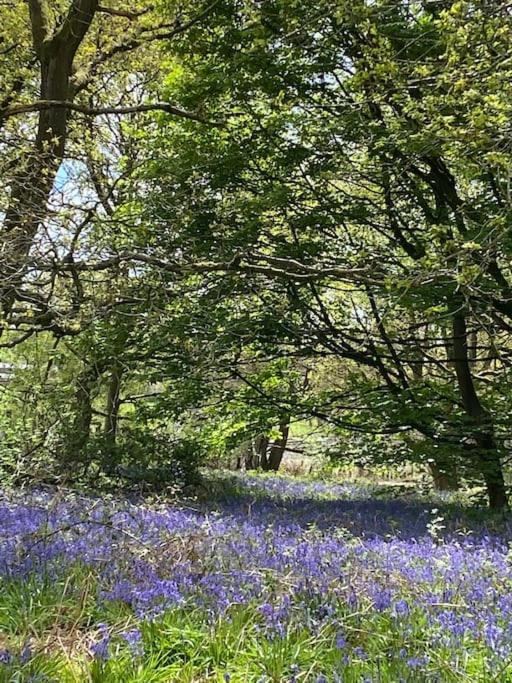 North Cottage Marlfields Hall, Stunning Location Adlington Exteriör bild